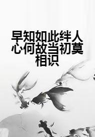 锦上添彩，何故如此