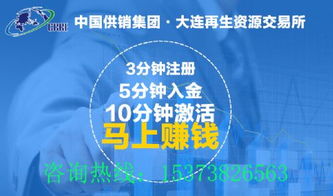 茶叶代理投资指南：茶油经销商资金与入门要求速览
