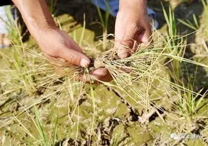 靠谱的卖家推荐