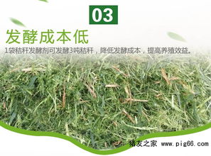 玉米青秸秆颗粒饲料在常温下能储存多长时间？