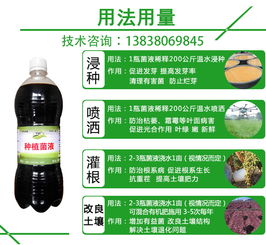 室内花卉， 也能用吡虫啉