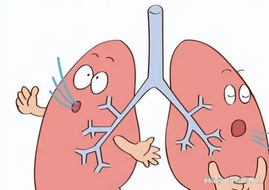 秋季猪反复咳嗽，是干咳还是湿咳，怎么用药才不反复？