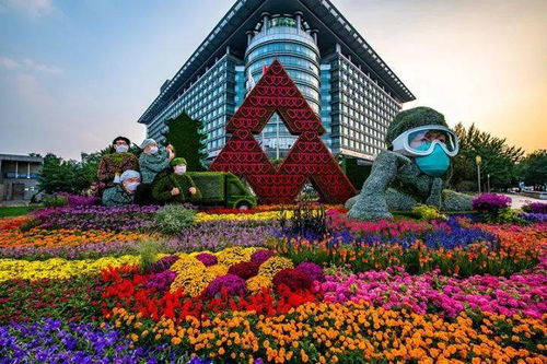 一、 家庭阳台区：小空间营造氛围