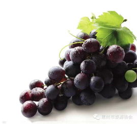 葡萄糖的神奇魔力