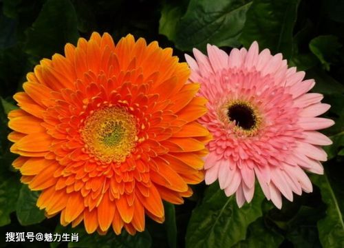 地域气候对照表