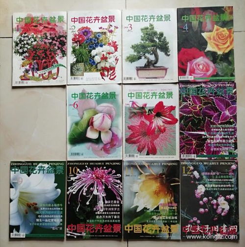 花卉杂志月刊：了解市场，把握趋势