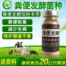 如何通过酶制剂发酵菌糠饲料实现降本50%且蛋白含量翻倍的创新养殖技术？