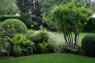 7月份适合种植园林绿化树吗？这个季节有什么讲究？