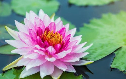 养护小技巧分享