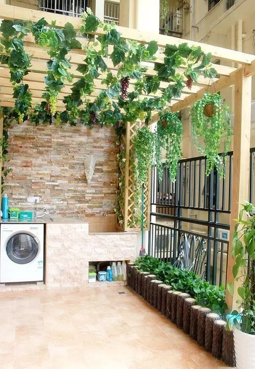 西红柿，红彤彤的美食秀