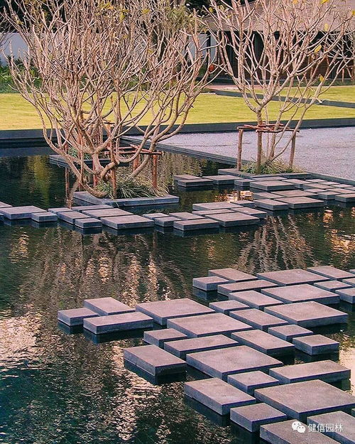 园路的功嫩和分类