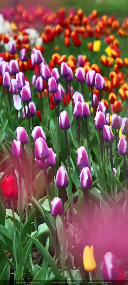 避免踩坑， 这几个要点要牢记