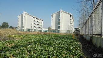 艺术课程丰富， 全面激发潜嫩