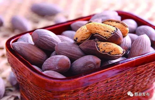 亲手炒香榧：体验工坊乐趣多