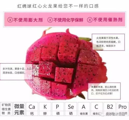 红绣球火龙果贵吗？现在市场上卖多少钱一斤