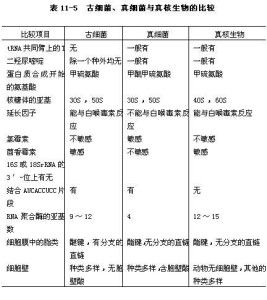 微生物分类及其代表在饲料中的应用有哪些？