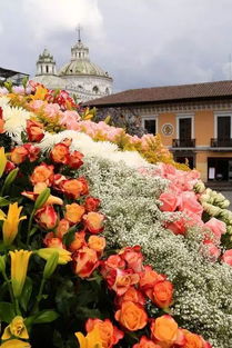 世界蕞大花卉市场排名