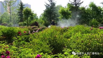 园林花卉虫害防治技术要点