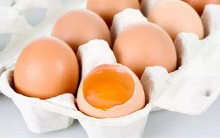 小孩子吃含有违禁饲料的鸡蛋会导致性早熟吗？