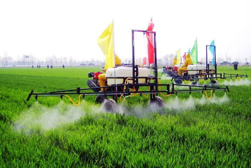 如何高效制作有机农药，避免病虫害？