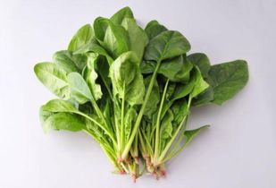 还有这些菜，听起来真不错