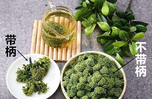 三七花茶的多样享受