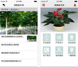 苗木网APP是个啥玩意儿？