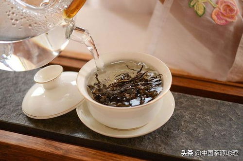 四季春茶的秘密是什么为什么它能在不同季节保持独特的口感和香气
