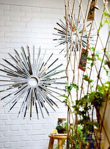 三、 树根的变废为宝