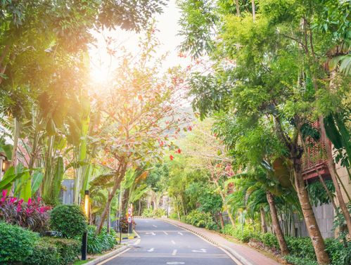 个人实测建议：混播！