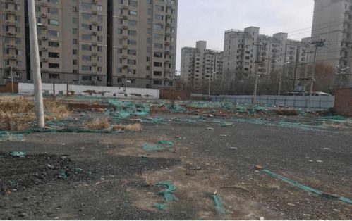 北京密云废弃厂房变公园， 月季品种美不胜收