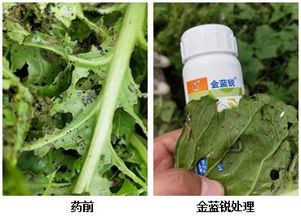 氟苯虫酰胺的适用范围