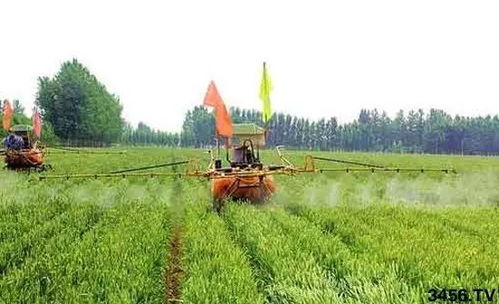 除草剂种类多，哪个好用呢？