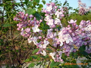 基地直供，实惠多多