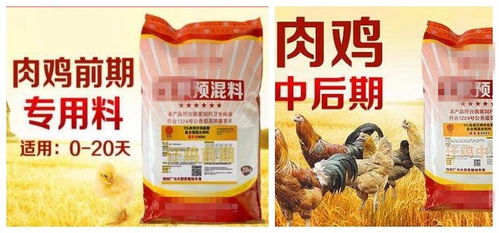 肉鸡饲料中添加不同比例油脂的目的是什么？添加油脂时应注意哪些事项？