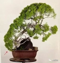 土壤湿润，冬季无忧