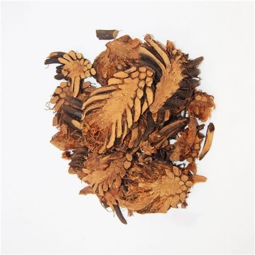贯众功效显著，究竟有哪些神奇之处