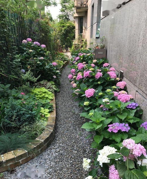 庭院种植技巧：防止渗水和漏风