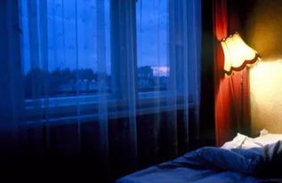 夜晚卧室散香植物的影响：揭秘你的睡眠质量之谜