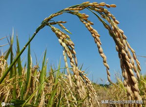 误区多，咋破？