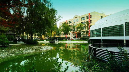 北林与南林园林的概况