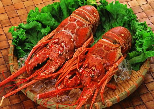 大龙虾市场价200-300元/斤