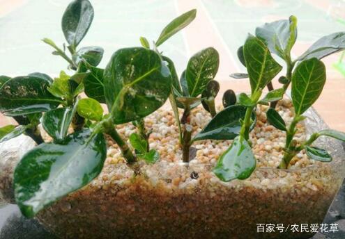 地域时间差秘籍