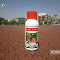 价格和购买渠道