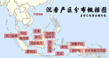 三比产区种植技术