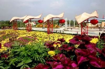 鄢陵县花木产业发展现状