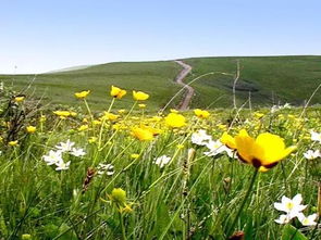 独家数据：气候变暖助力牧草生长