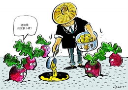 四、 施肥与修剪