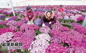 二、二级销售渠道