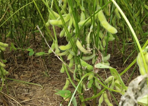 打农药得注意啥？